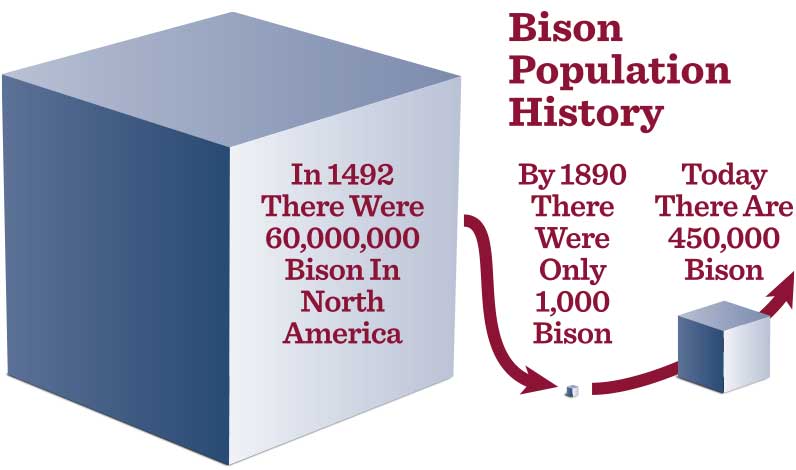 Bison Population History